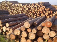 木材干缩，使用木材防裂剂