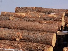 木材的共同点和缺点你知道吗——木材防腐剂
