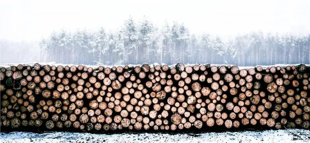 木材市场进入“冬眠期”？